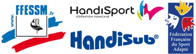 Logo Handisub