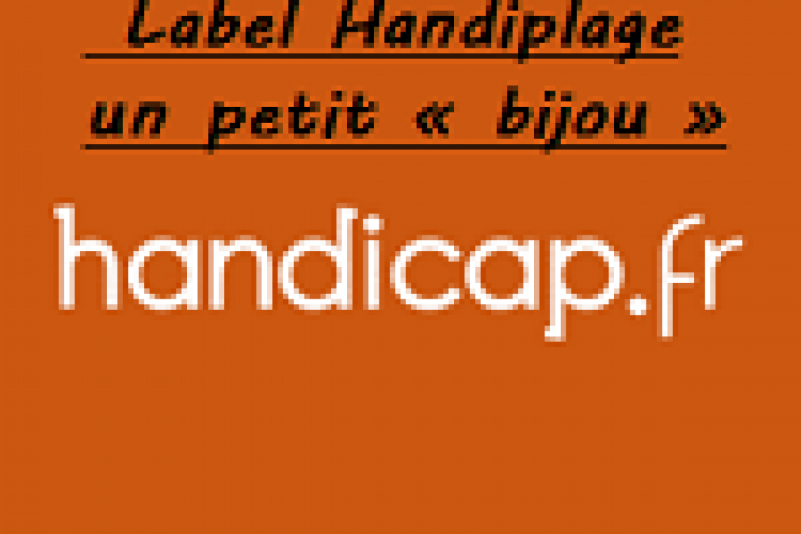 Logo Handicap.fr