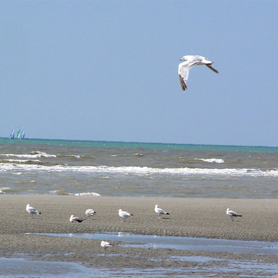 Photo plage